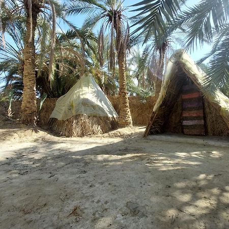 Forest Camp Siwa - كامب الغابة Siwa Oasis Экстерьер фото