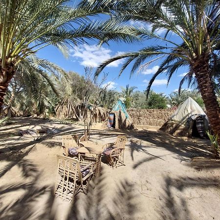 Forest Camp Siwa - كامب الغابة Siwa Oasis Экстерьер фото