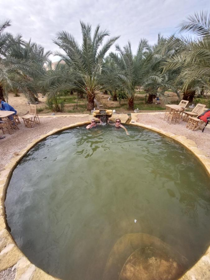 Forest Camp Siwa - كامب الغابة Siwa Oasis Экстерьер фото