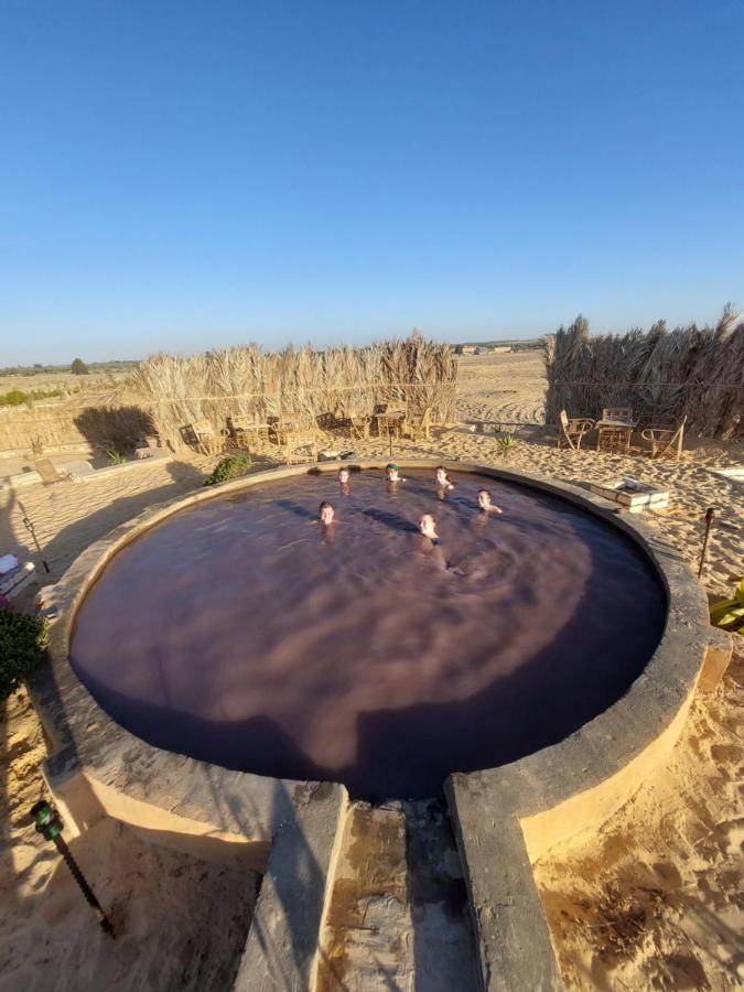 Forest Camp Siwa - كامب الغابة Siwa Oasis Экстерьер фото