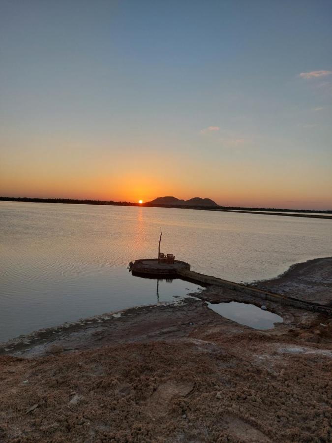 Forest Camp Siwa - كامب الغابة Siwa Oasis Экстерьер фото