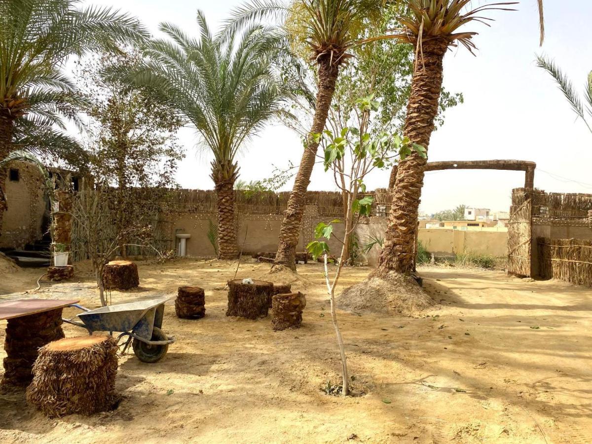 Forest Camp Siwa - كامب الغابة Siwa Oasis Экстерьер фото