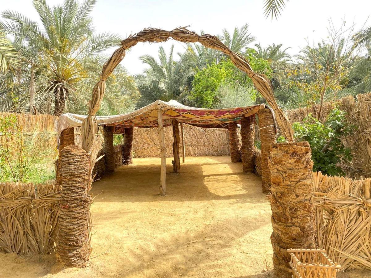 Forest Camp Siwa - كامب الغابة Siwa Oasis Экстерьер фото