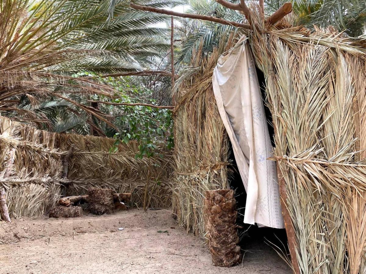 Forest Camp Siwa - كامب الغابة Siwa Oasis Экстерьер фото