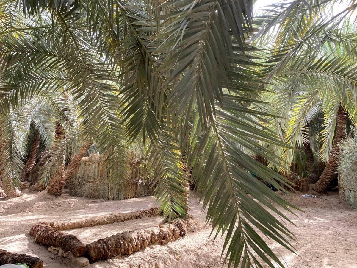 Forest Camp Siwa - كامب الغابة Siwa Oasis Экстерьер фото