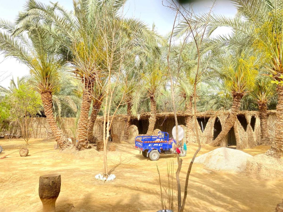 Forest Camp Siwa - كامب الغابة Siwa Oasis Экстерьер фото