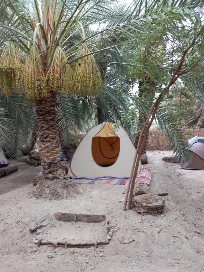 Forest Camp Siwa - كامب الغابة Siwa Oasis Экстерьер фото