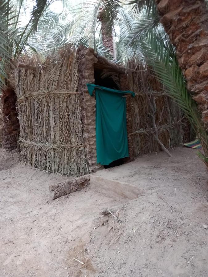 Forest Camp Siwa - كامب الغابة Siwa Oasis Экстерьер фото