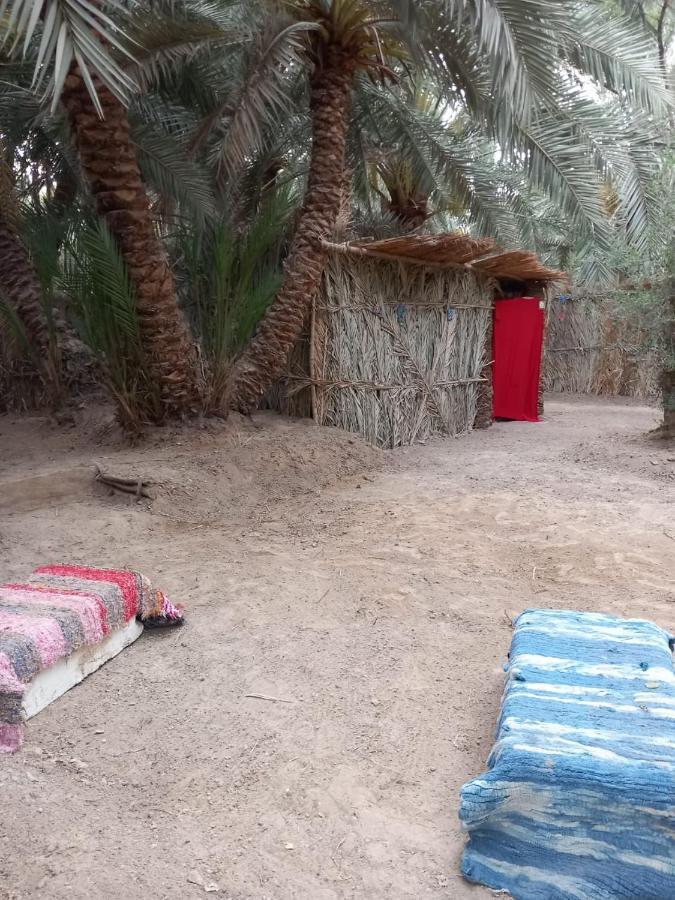 Forest Camp Siwa - كامب الغابة Siwa Oasis Экстерьер фото