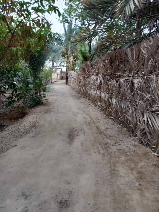 Forest Camp Siwa - كامب الغابة Siwa Oasis Экстерьер фото