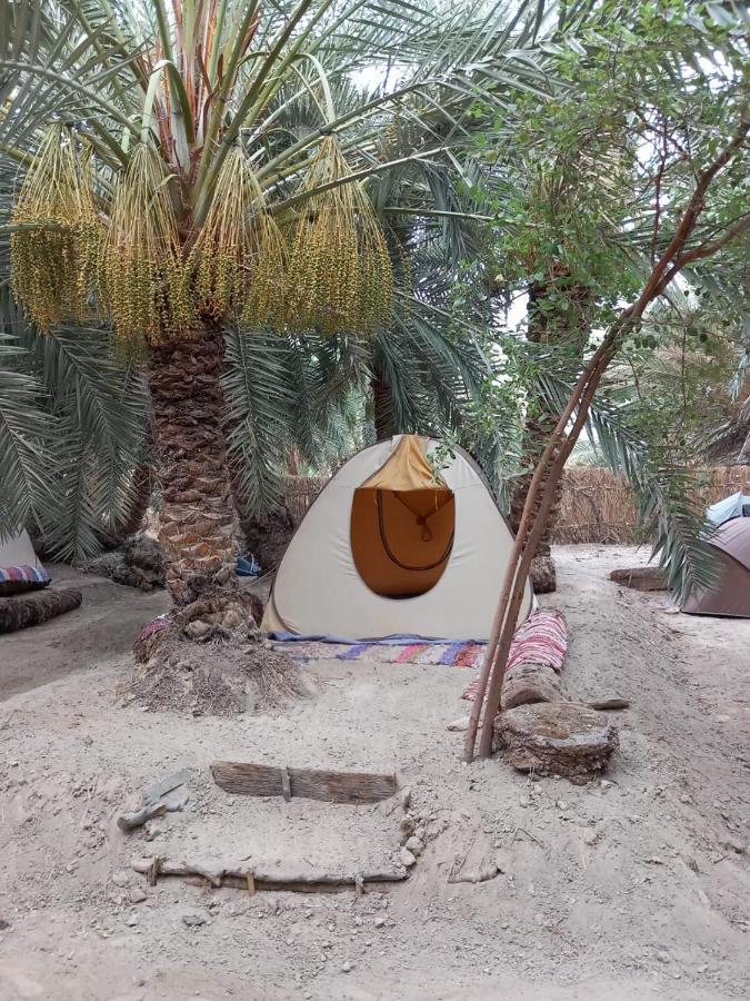 Forest Camp Siwa - كامب الغابة Siwa Oasis Экстерьер фото