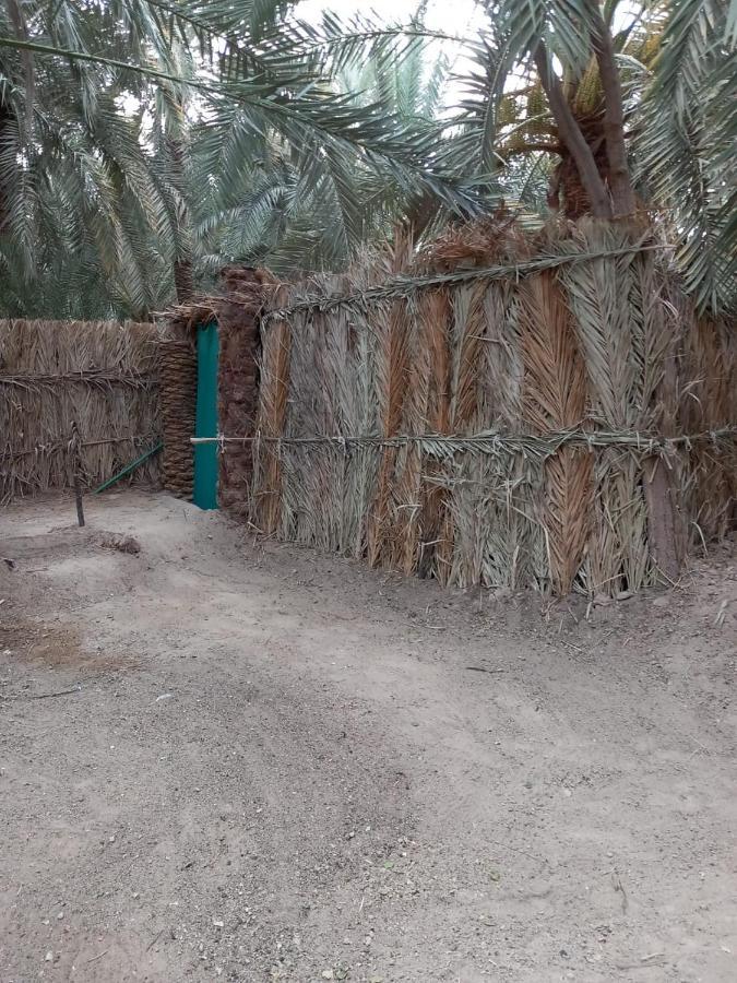 Forest Camp Siwa - كامب الغابة Siwa Oasis Экстерьер фото