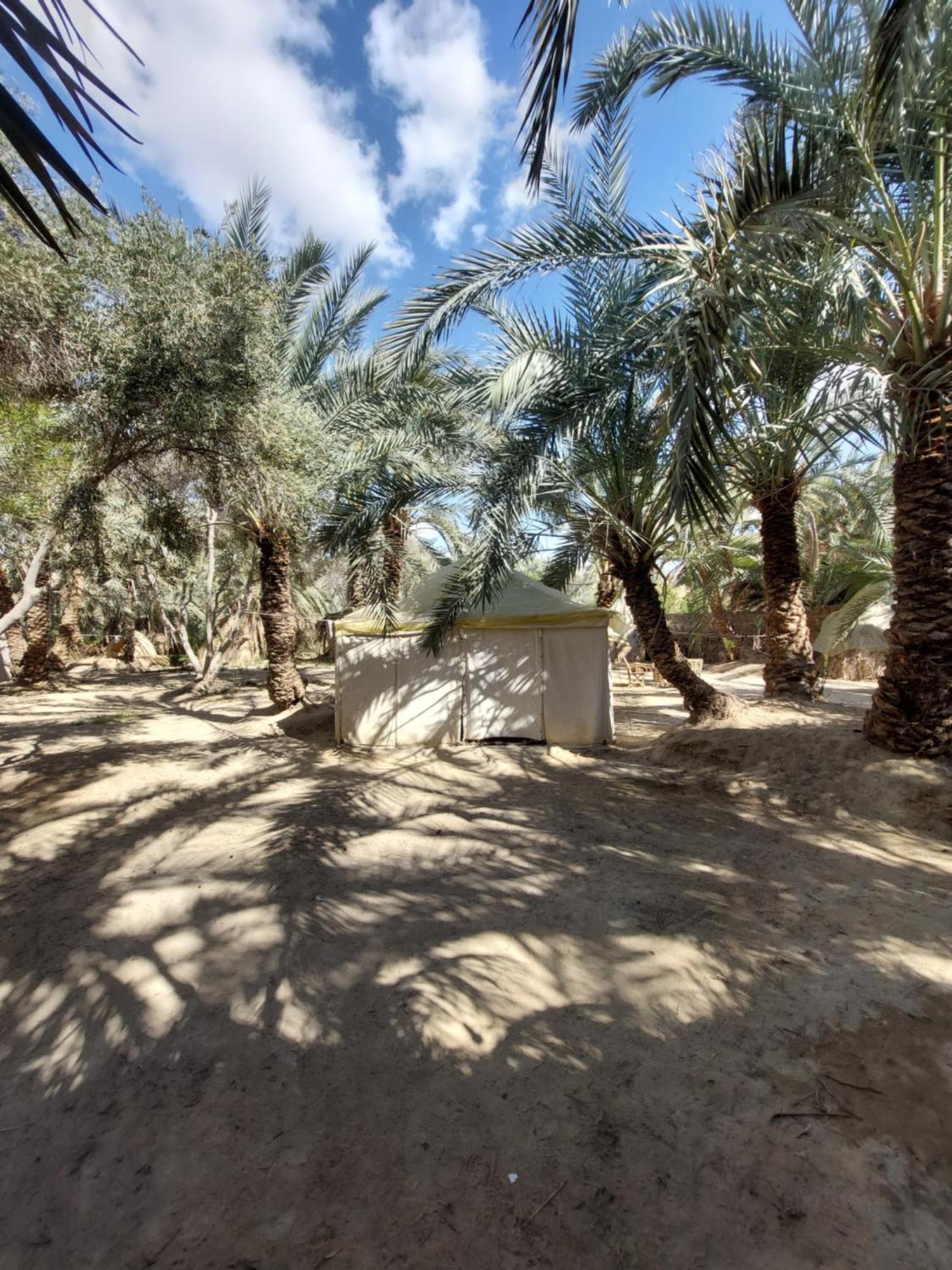 Forest Camp Siwa - كامب الغابة Siwa Oasis Экстерьер фото