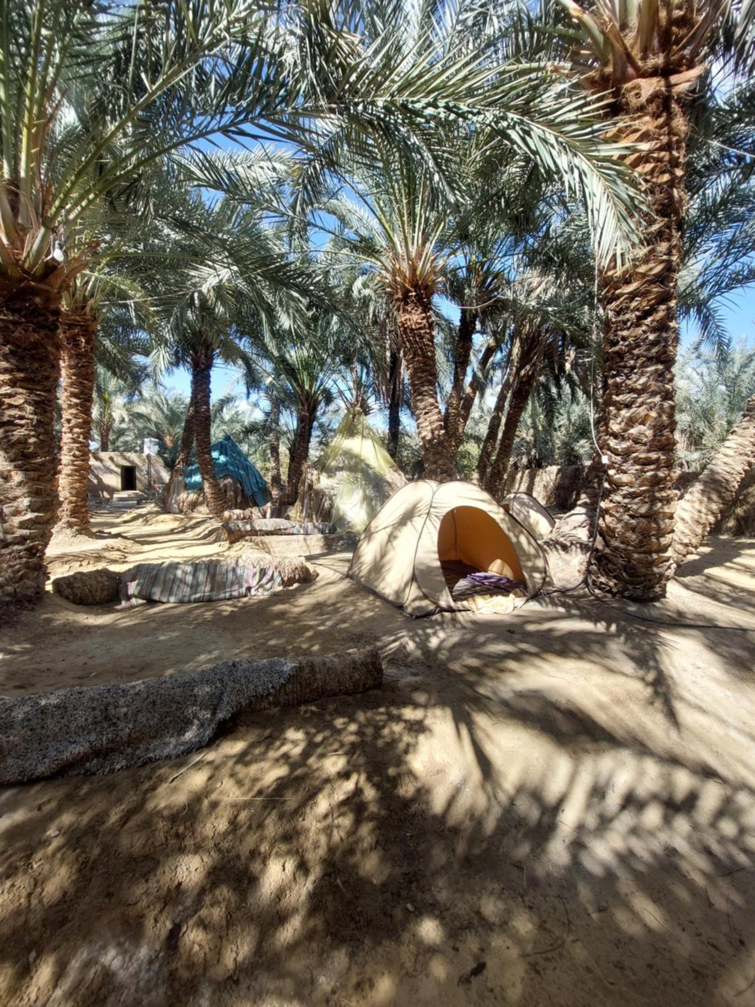 Forest Camp Siwa - كامب الغابة Siwa Oasis Экстерьер фото