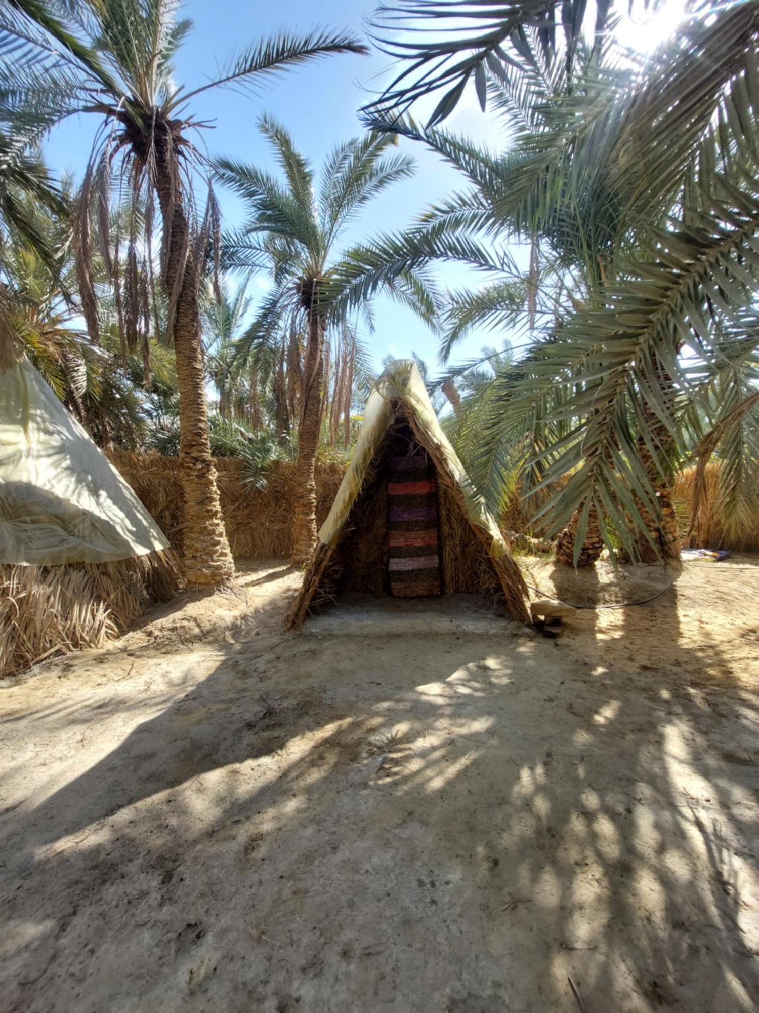 Forest Camp Siwa - كامب الغابة Siwa Oasis Экстерьер фото