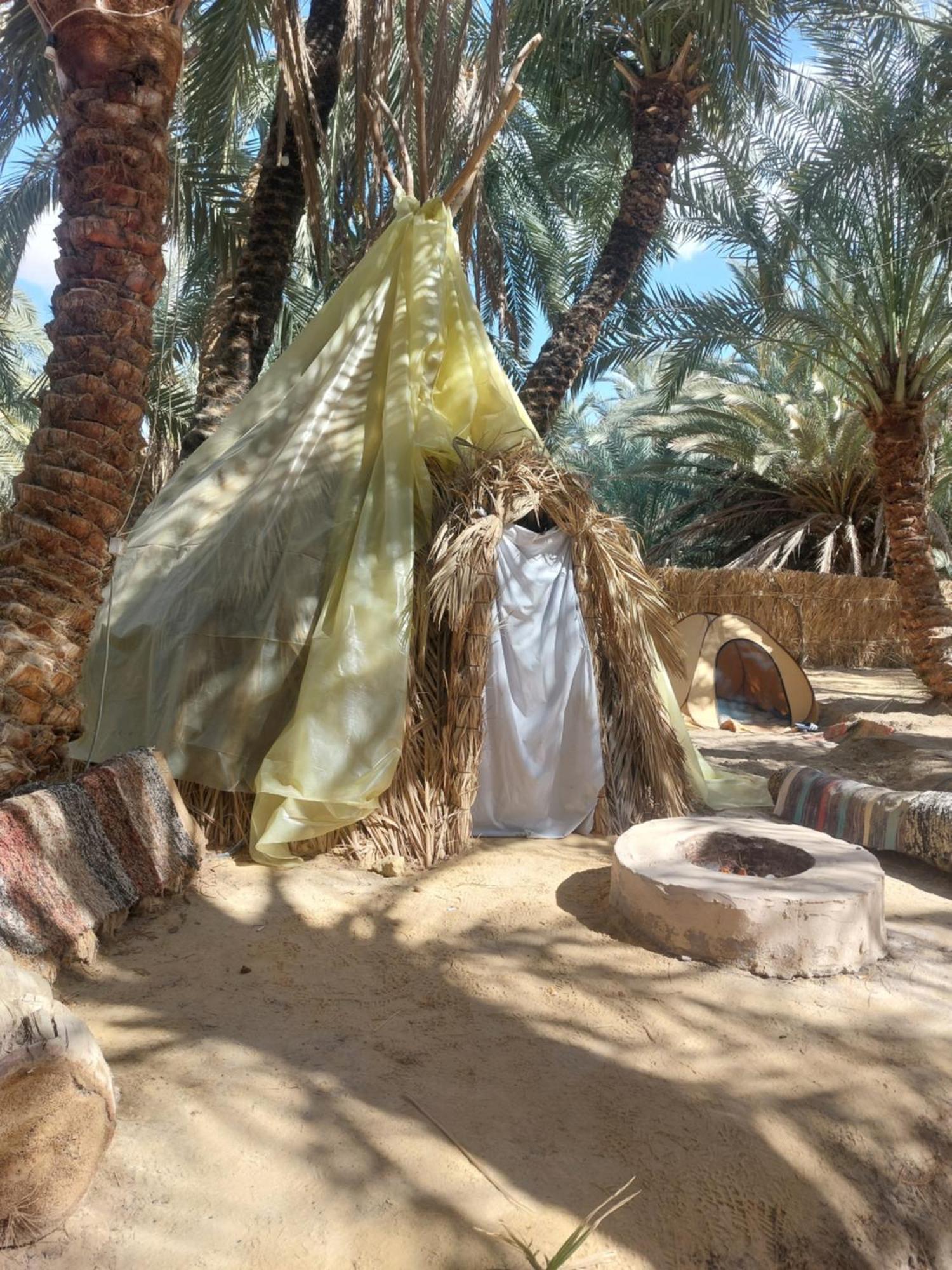 Forest Camp Siwa - كامب الغابة Siwa Oasis Экстерьер фото