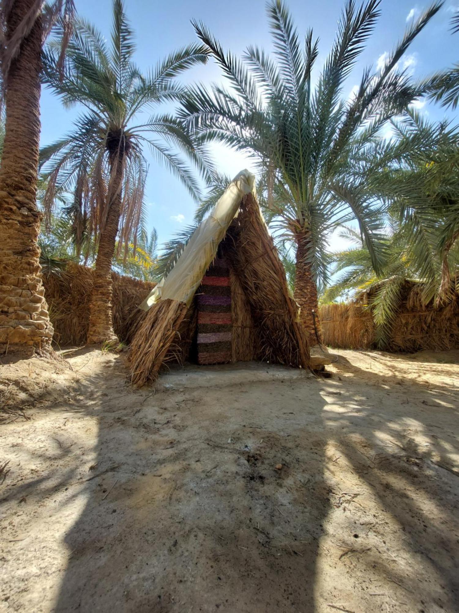 Forest Camp Siwa - كامب الغابة Siwa Oasis Экстерьер фото