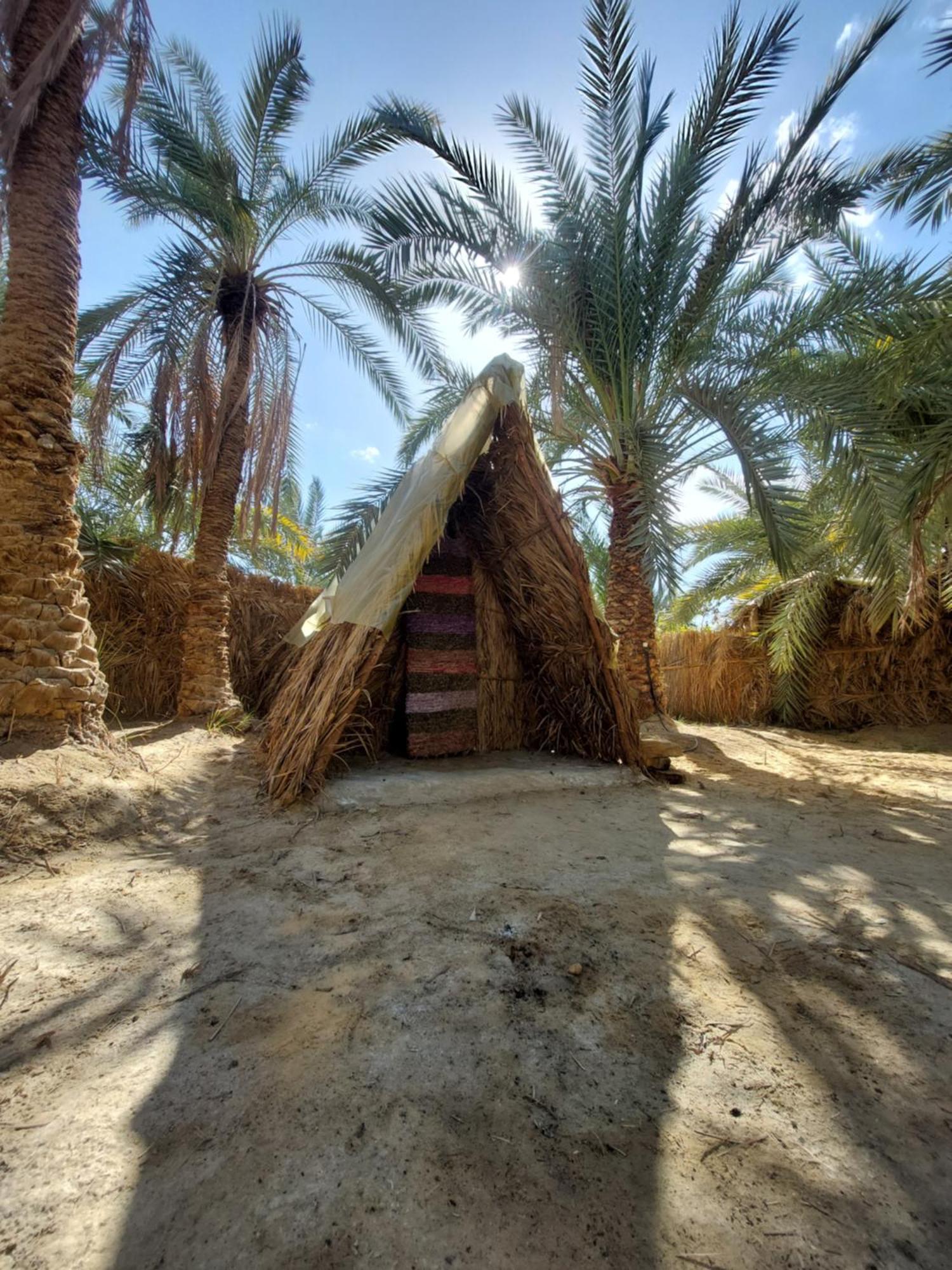 Forest Camp Siwa - كامب الغابة Siwa Oasis Экстерьер фото