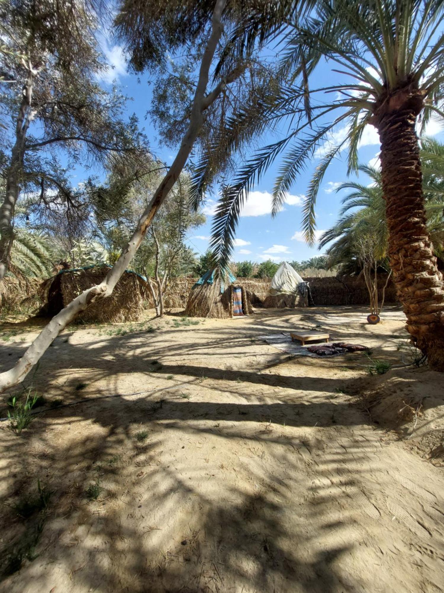 Forest Camp Siwa - كامب الغابة Siwa Oasis Экстерьер фото