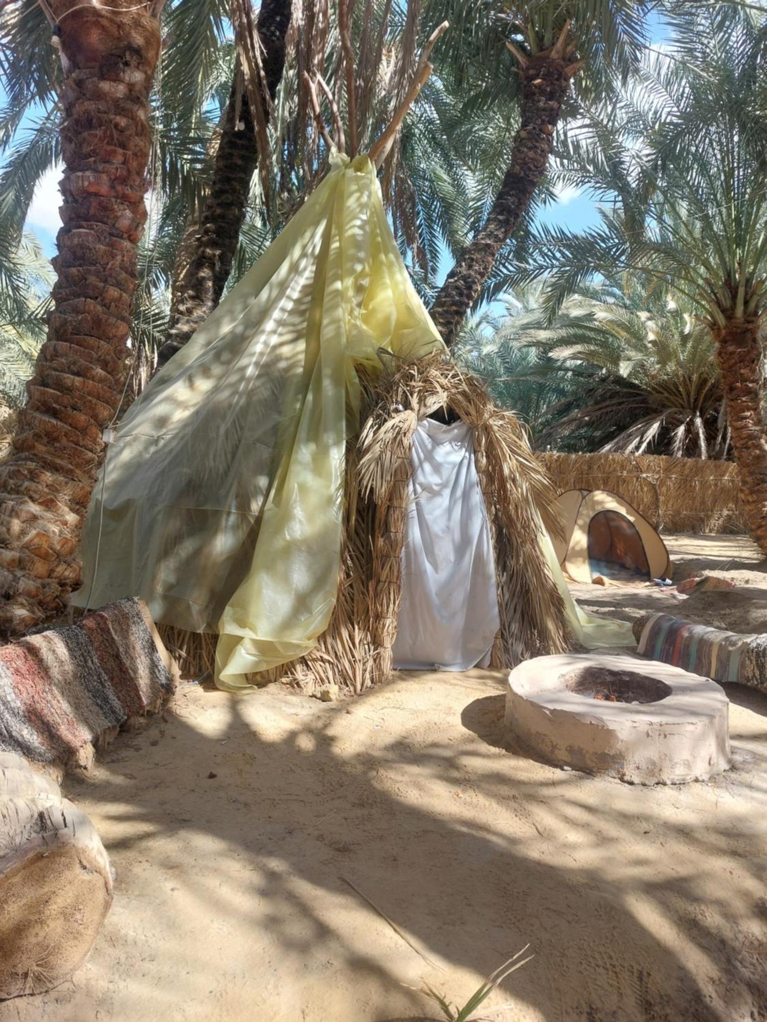 Forest Camp Siwa - كامب الغابة Siwa Oasis Экстерьер фото