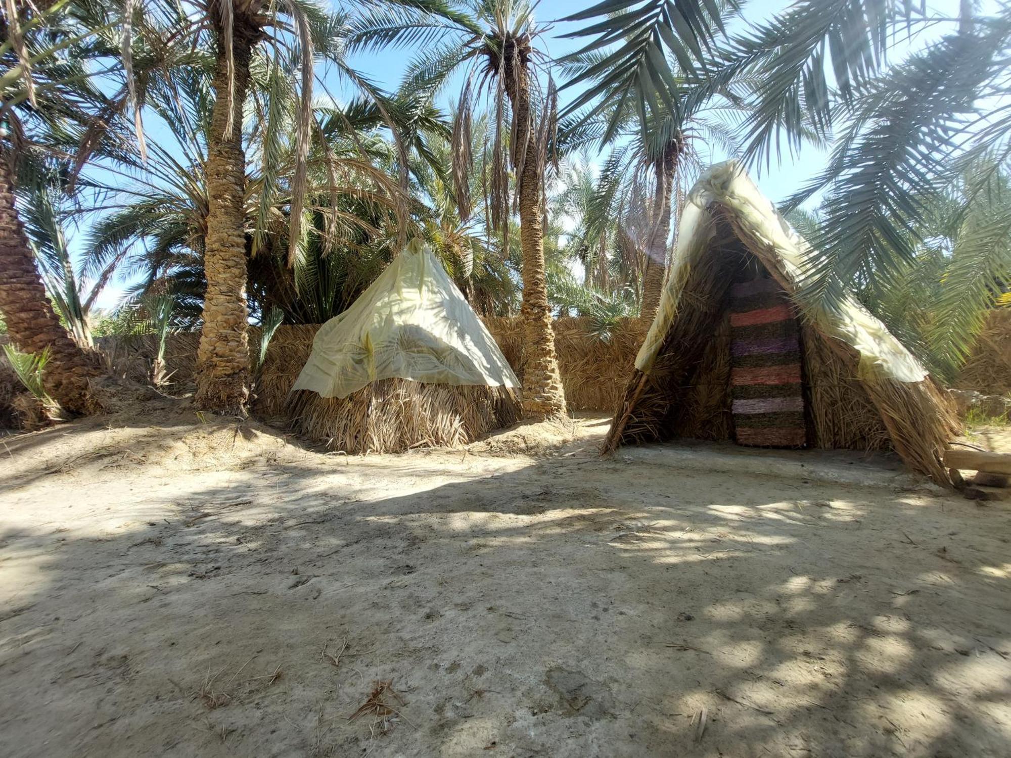 Forest Camp Siwa - كامب الغابة Siwa Oasis Экстерьер фото