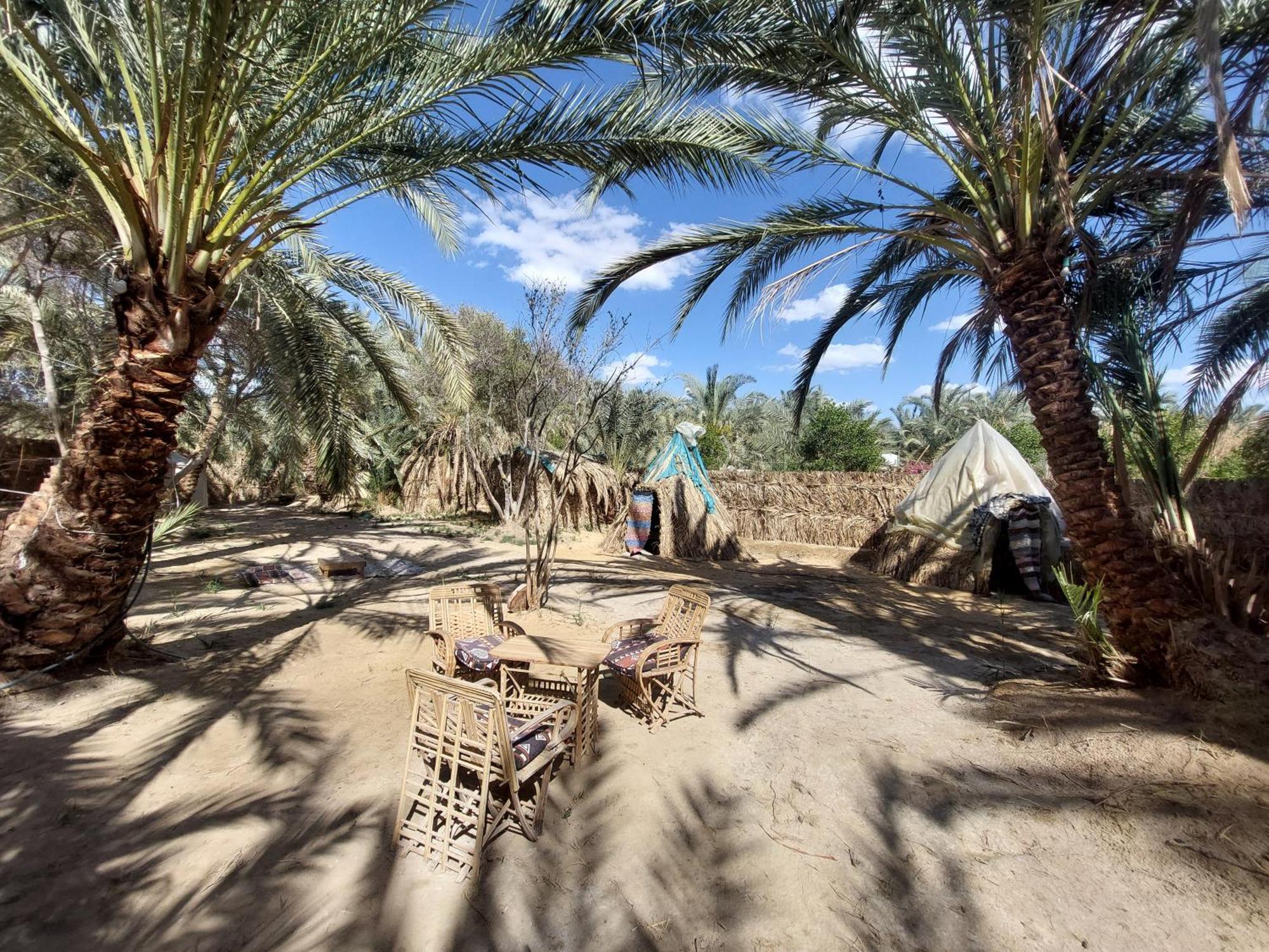 Forest Camp Siwa - كامب الغابة Siwa Oasis Экстерьер фото