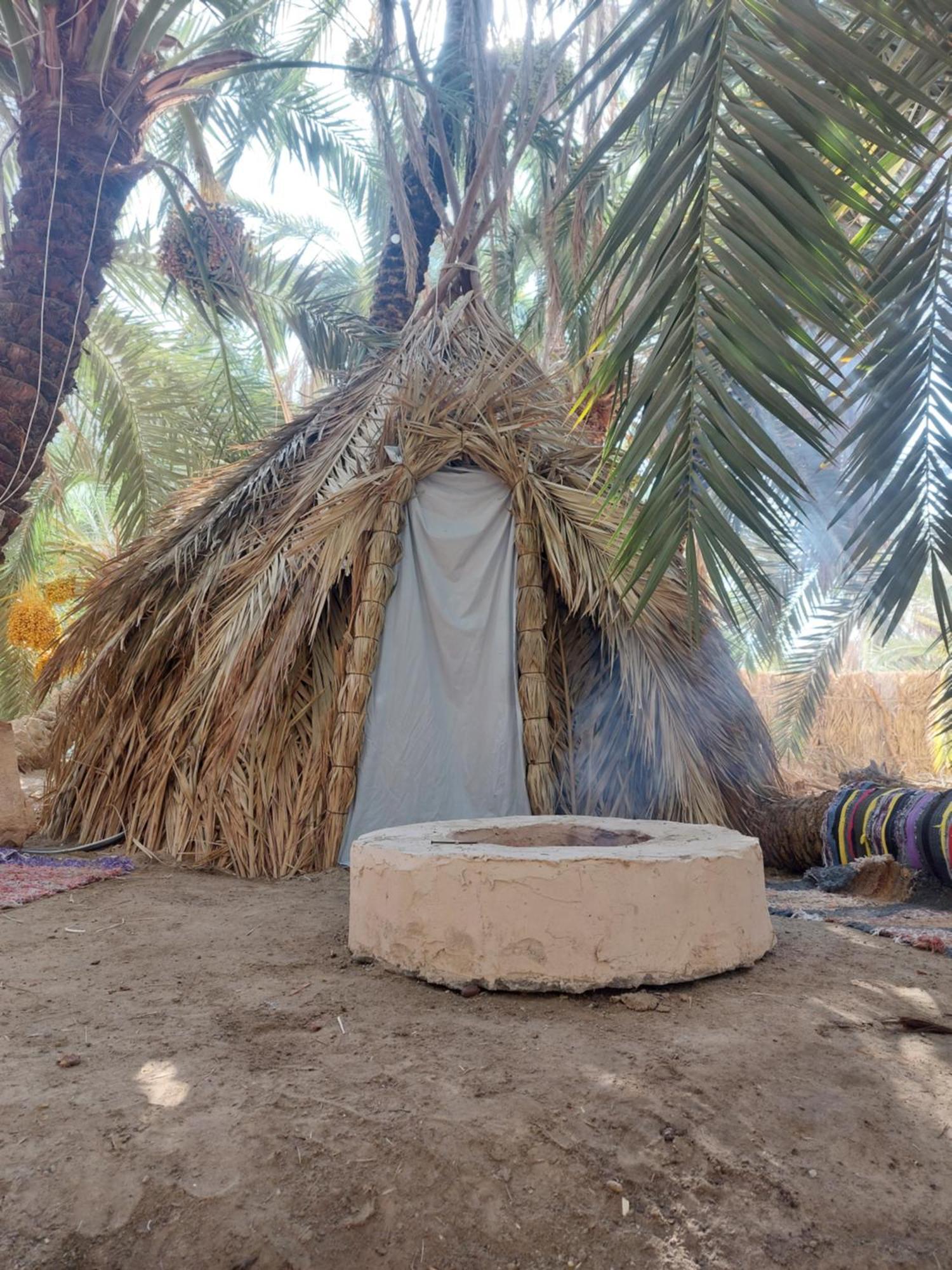 Forest Camp Siwa - كامب الغابة Siwa Oasis Экстерьер фото