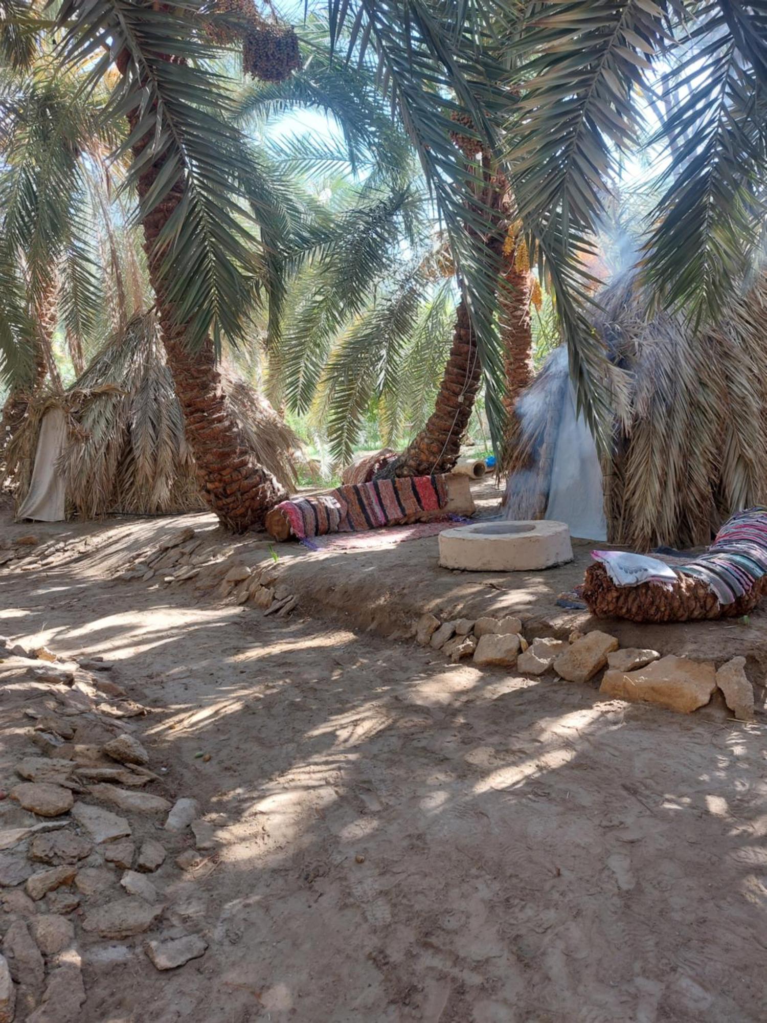 Forest Camp Siwa - كامب الغابة Siwa Oasis Экстерьер фото