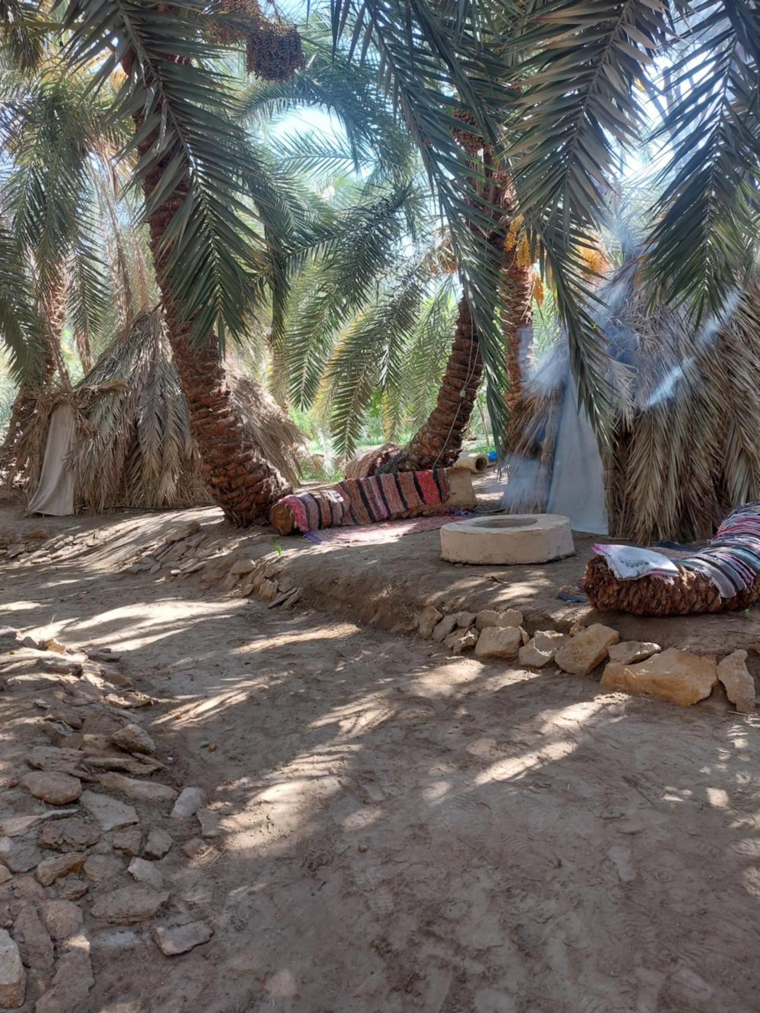 Forest Camp Siwa - كامب الغابة Siwa Oasis Экстерьер фото