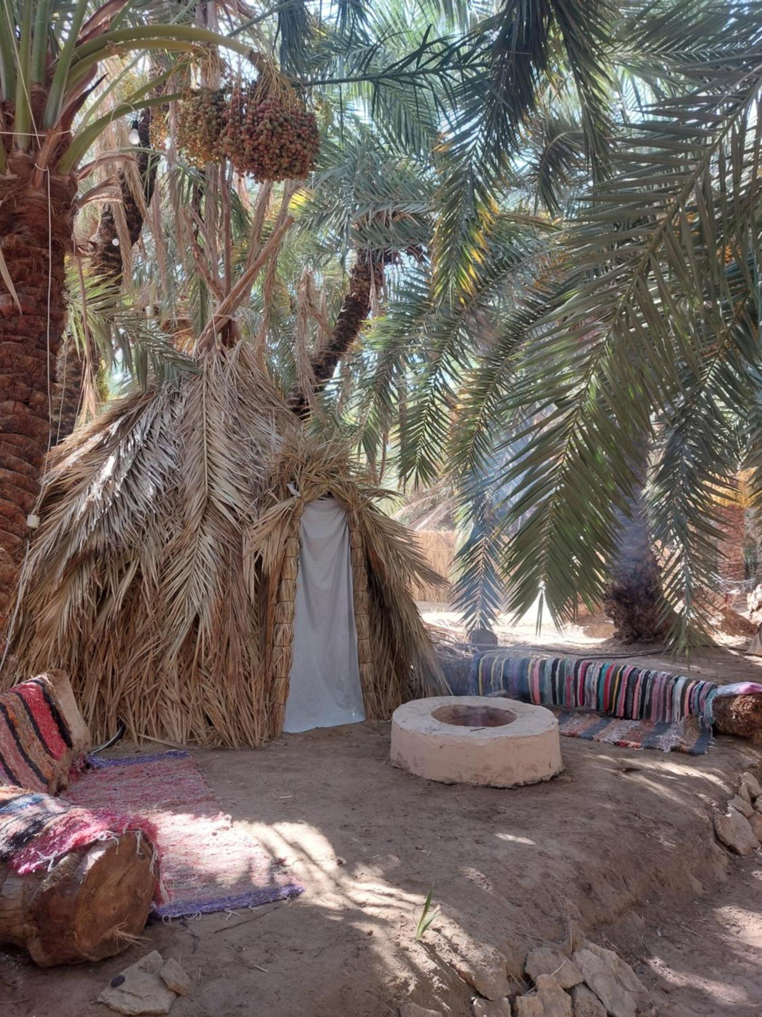 Forest Camp Siwa - كامب الغابة Siwa Oasis Экстерьер фото