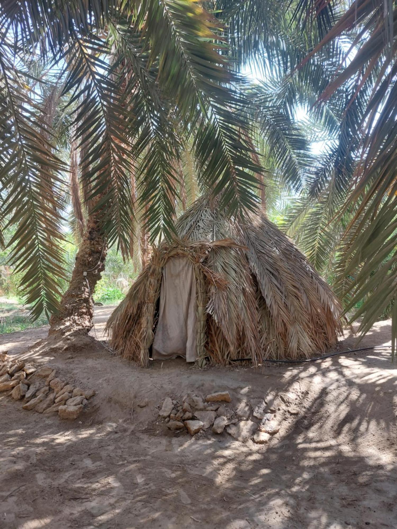 Forest Camp Siwa - كامب الغابة Siwa Oasis Экстерьер фото