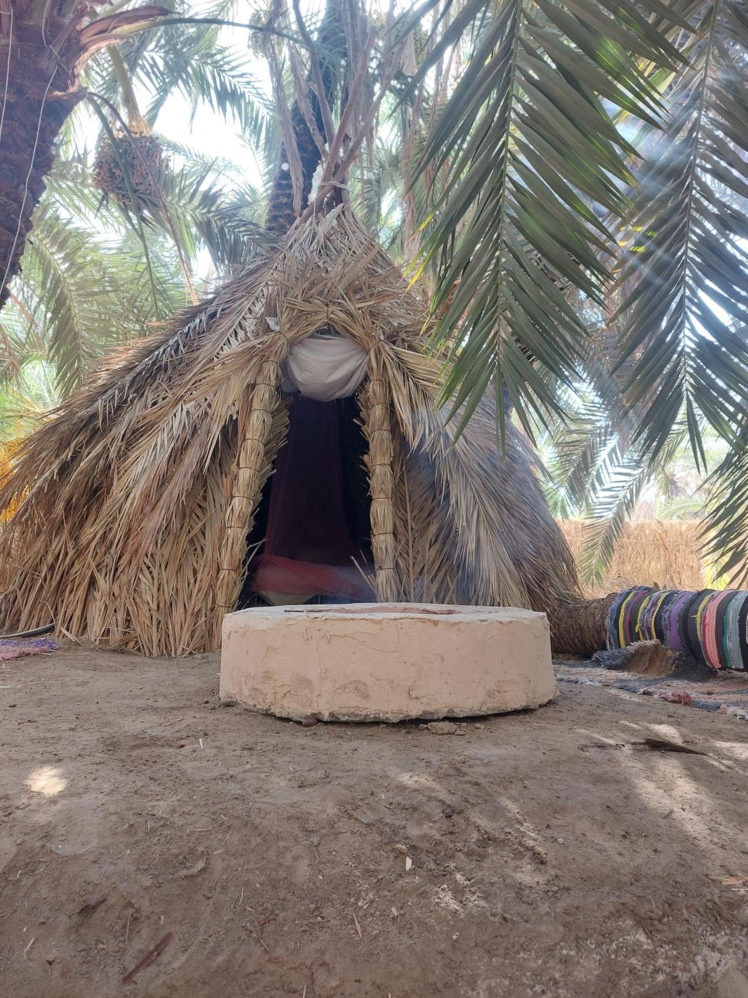 Forest Camp Siwa - كامب الغابة Siwa Oasis Экстерьер фото