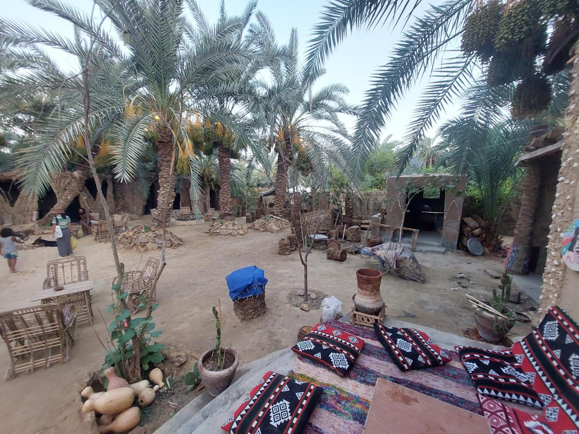 Forest Camp Siwa - كامب الغابة Siwa Oasis Экстерьер фото