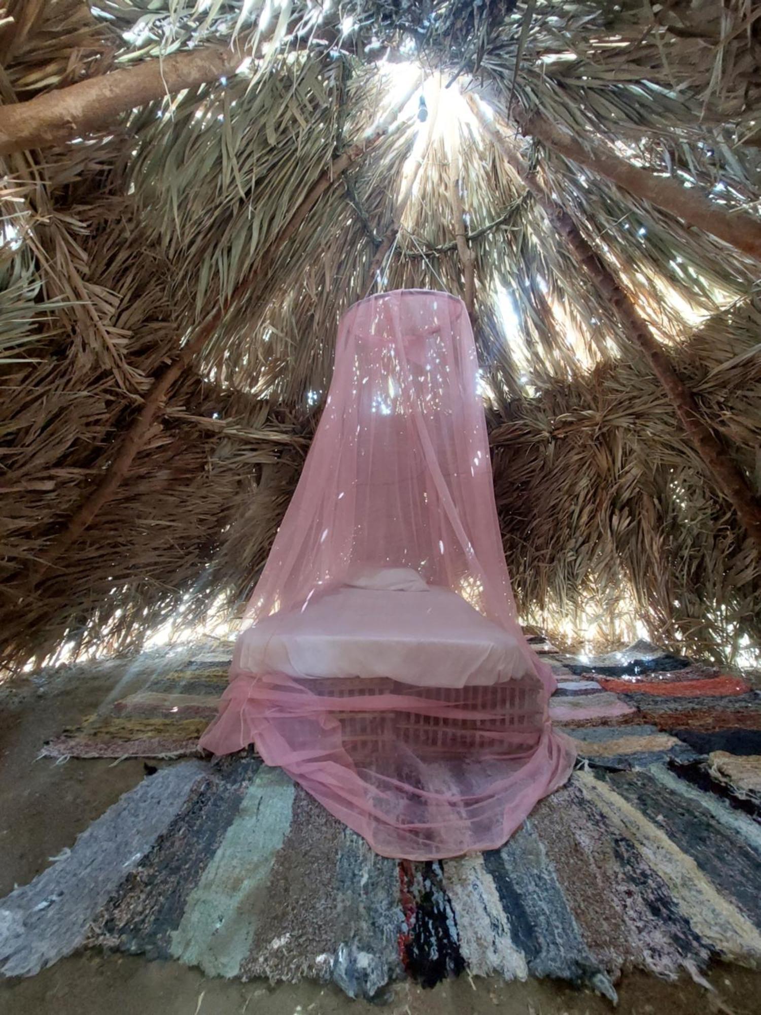 Forest Camp Siwa - كامب الغابة Siwa Oasis Экстерьер фото