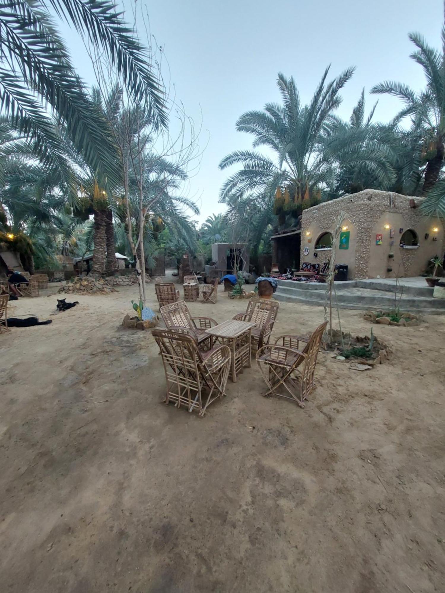 Forest Camp Siwa - كامب الغابة Siwa Oasis Экстерьер фото