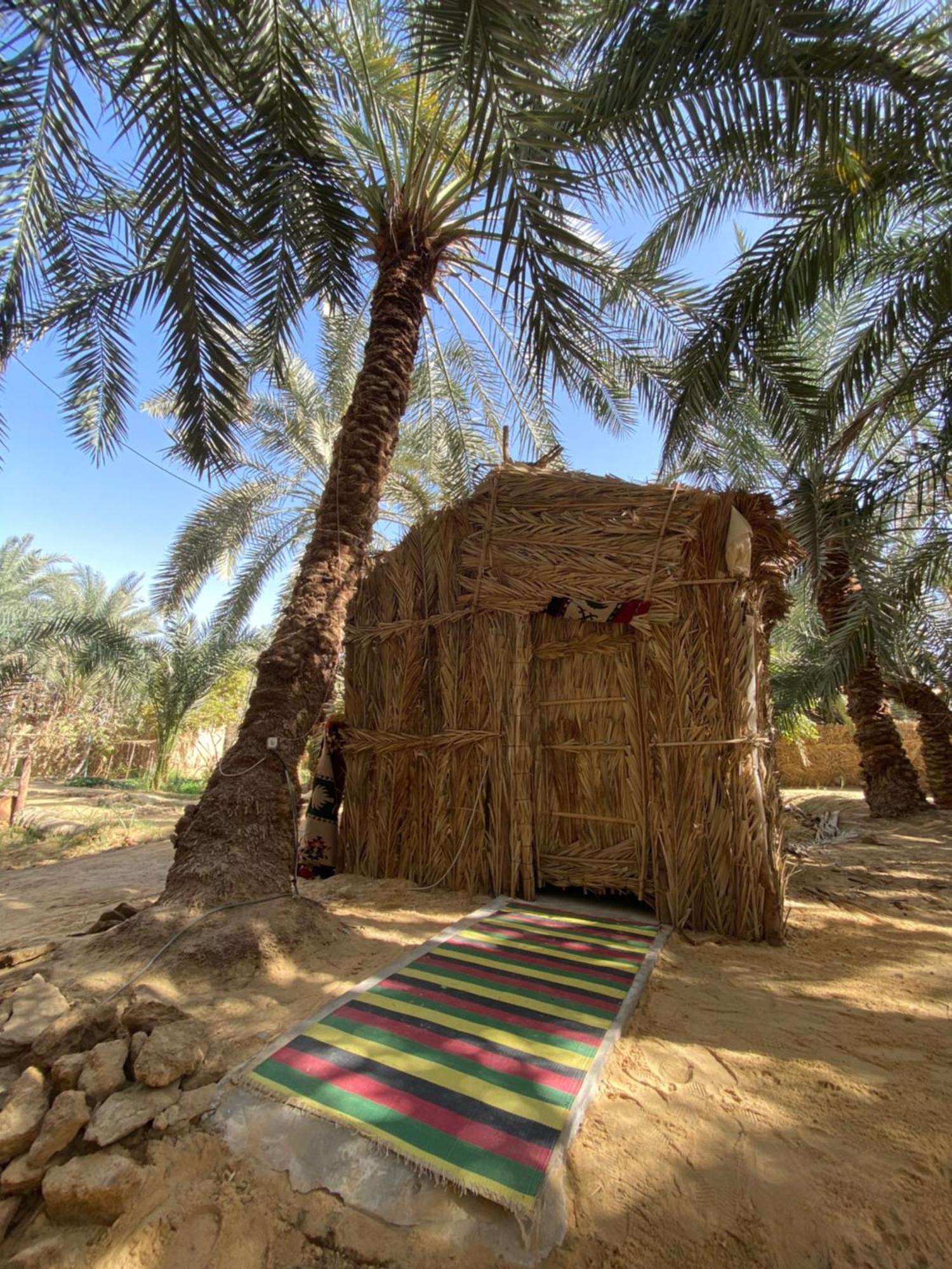 Forest Camp Siwa - كامب الغابة Siwa Oasis Экстерьер фото