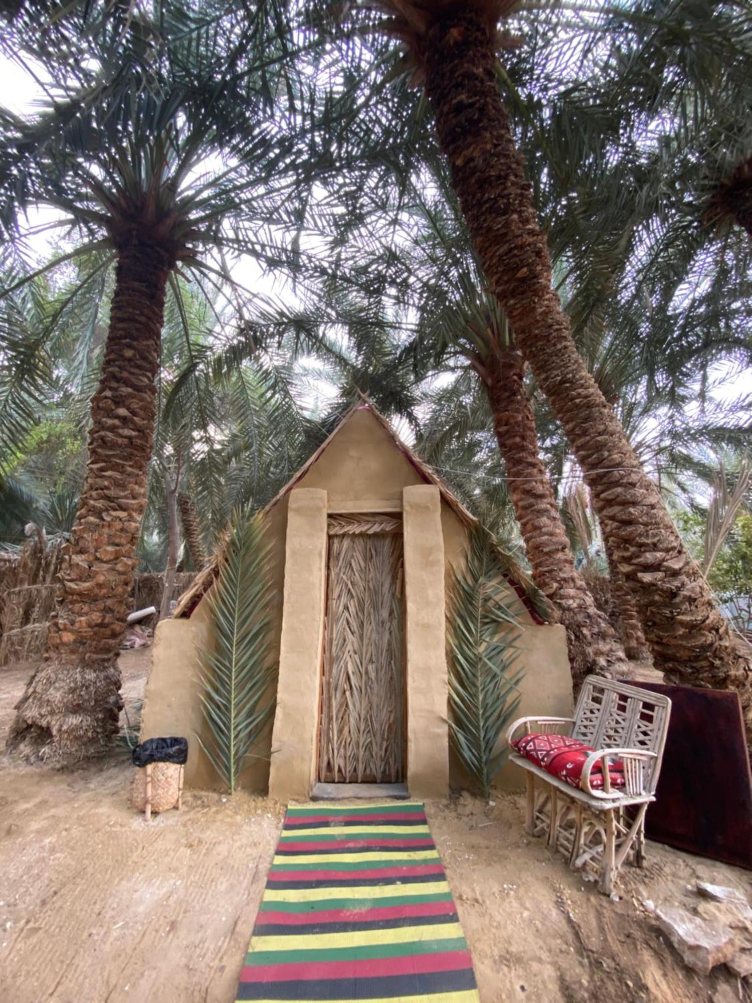 Forest Camp Siwa - كامب الغابة Siwa Oasis Экстерьер фото