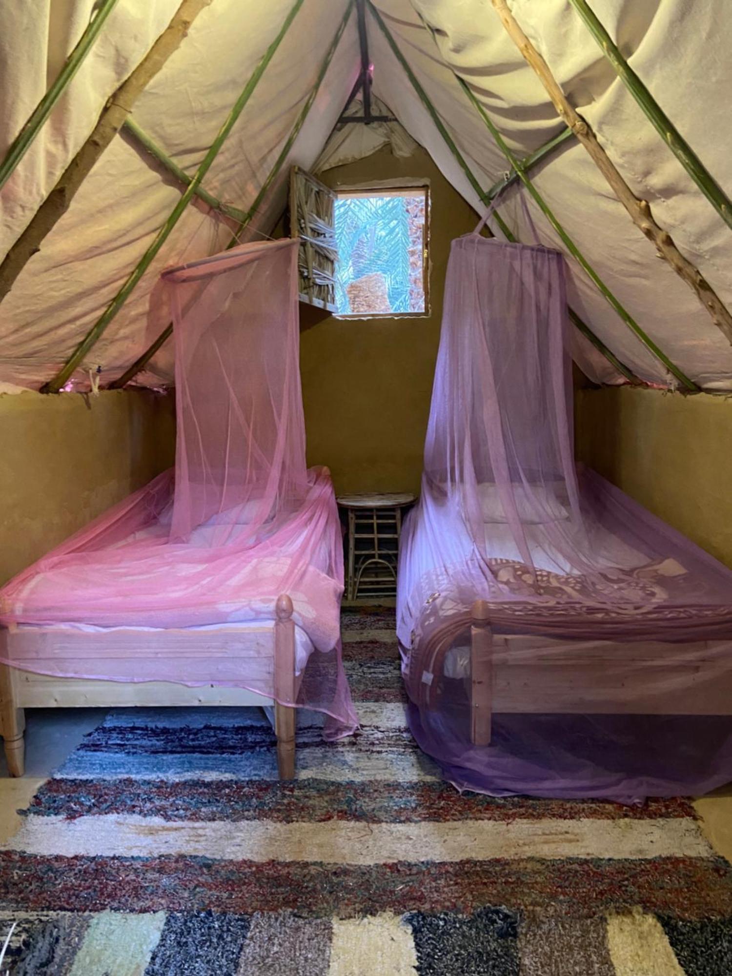 Forest Camp Siwa - كامب الغابة Siwa Oasis Экстерьер фото