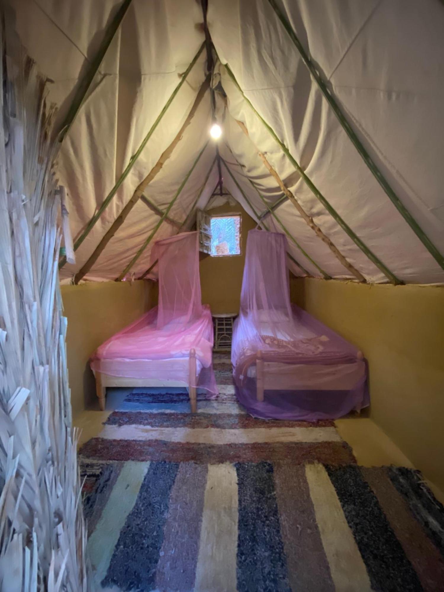Forest Camp Siwa - كامب الغابة Siwa Oasis Экстерьер фото
