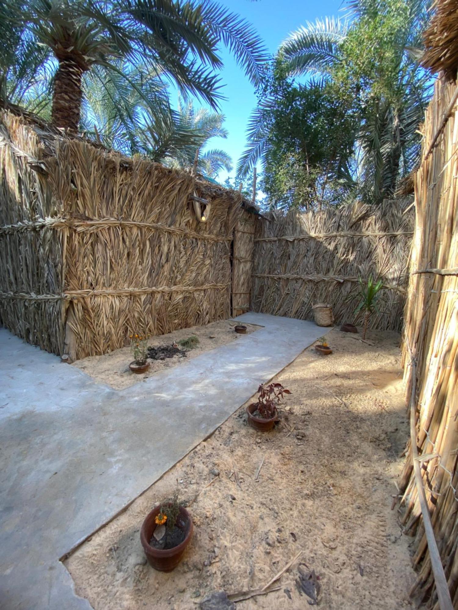Forest Camp Siwa - كامب الغابة Siwa Oasis Экстерьер фото