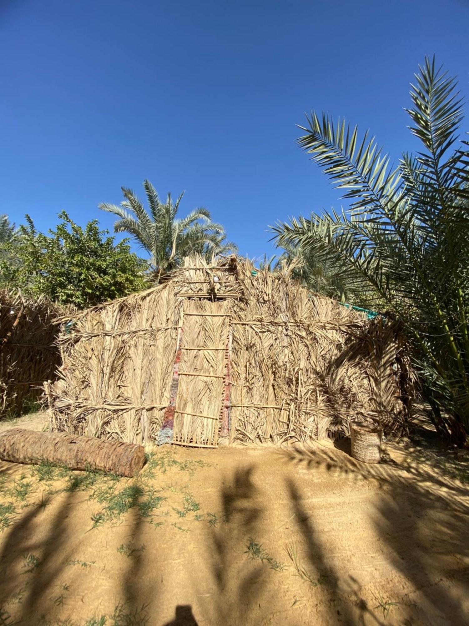 Forest Camp Siwa - كامب الغابة Siwa Oasis Экстерьер фото