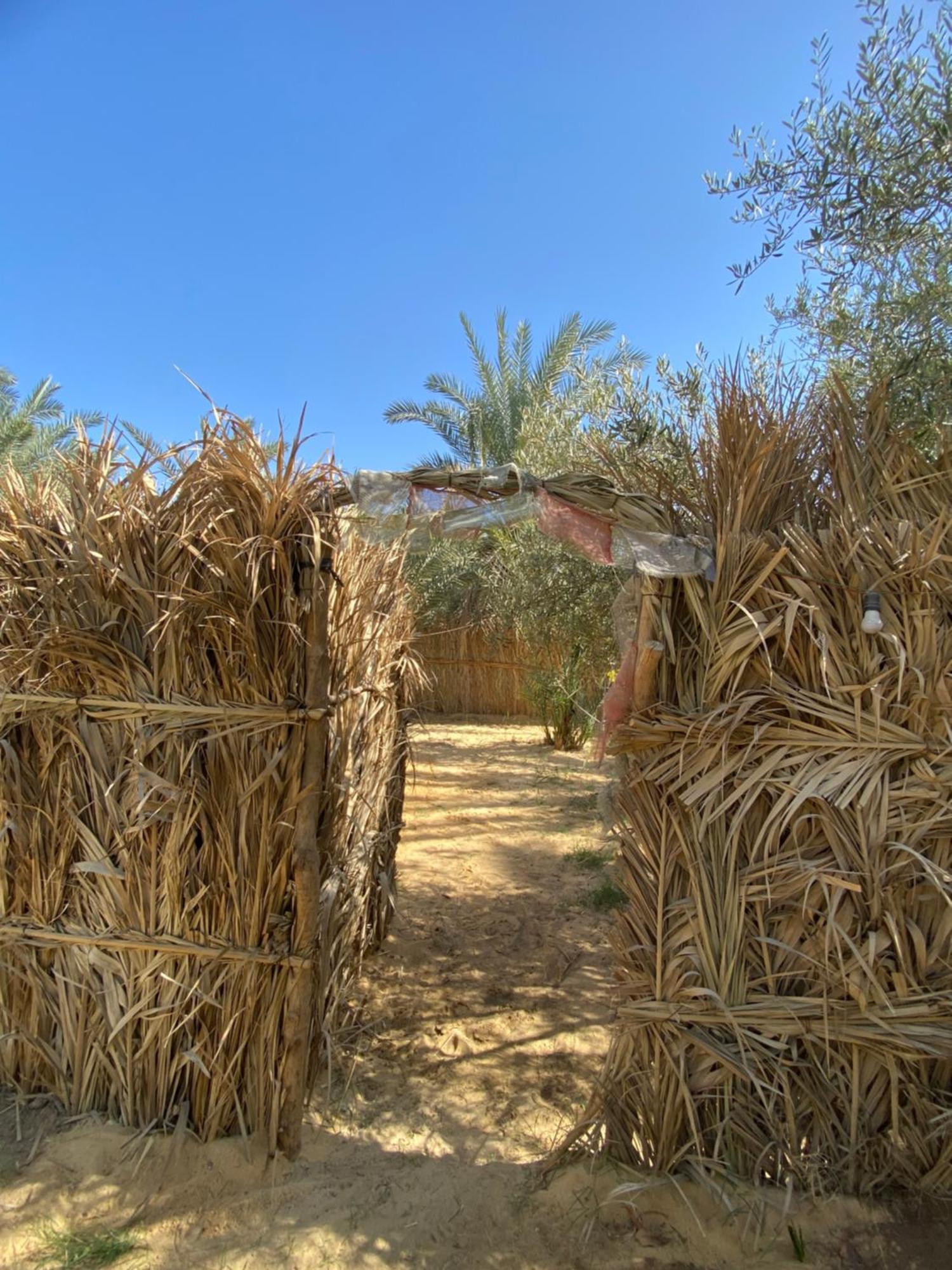 Forest Camp Siwa - كامب الغابة Siwa Oasis Экстерьер фото