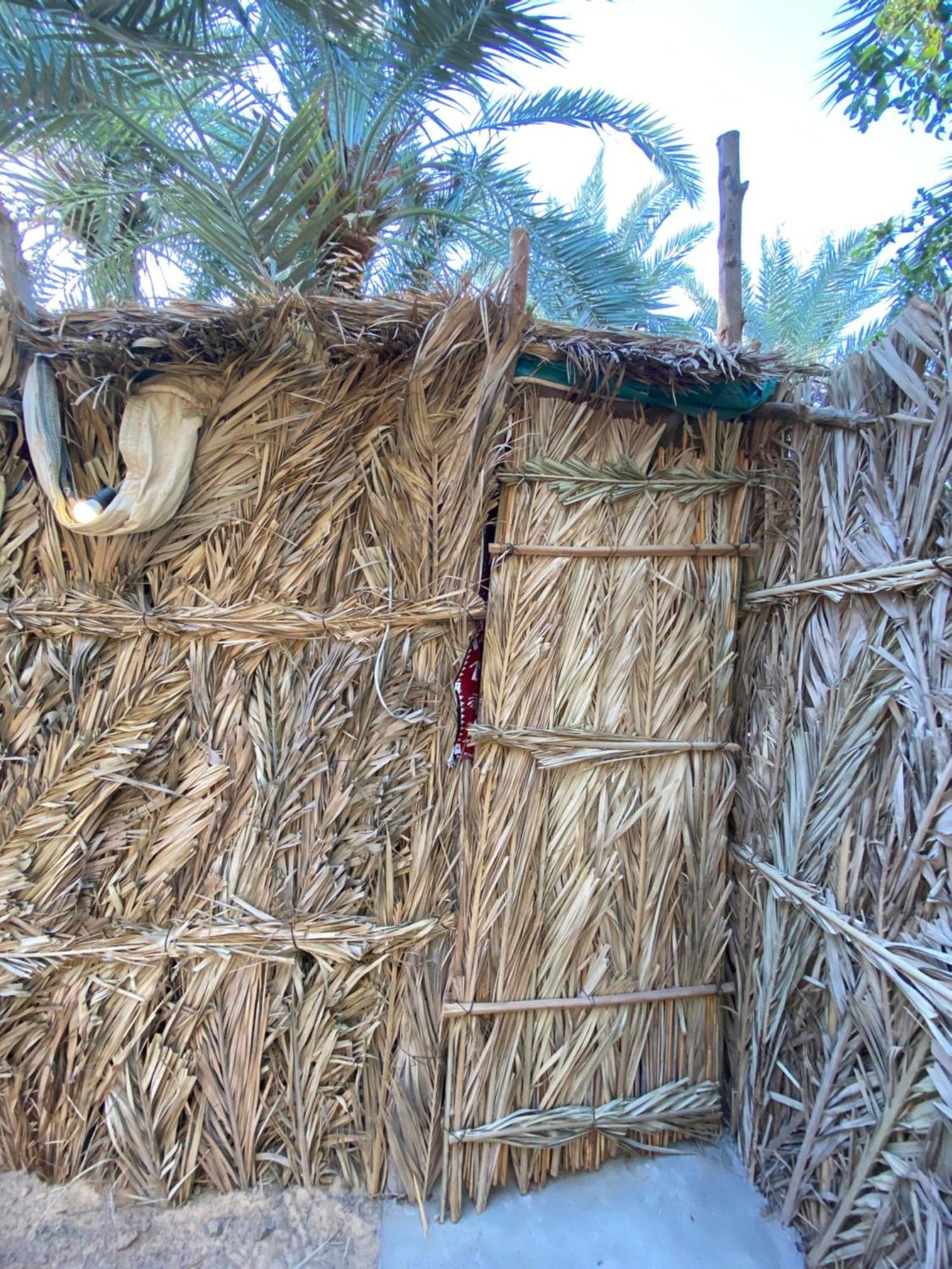 Forest Camp Siwa - كامب الغابة Siwa Oasis Экстерьер фото