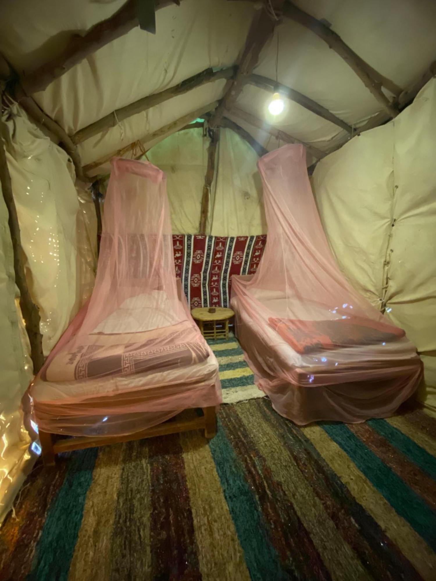 Forest Camp Siwa - كامب الغابة Siwa Oasis Экстерьер фото